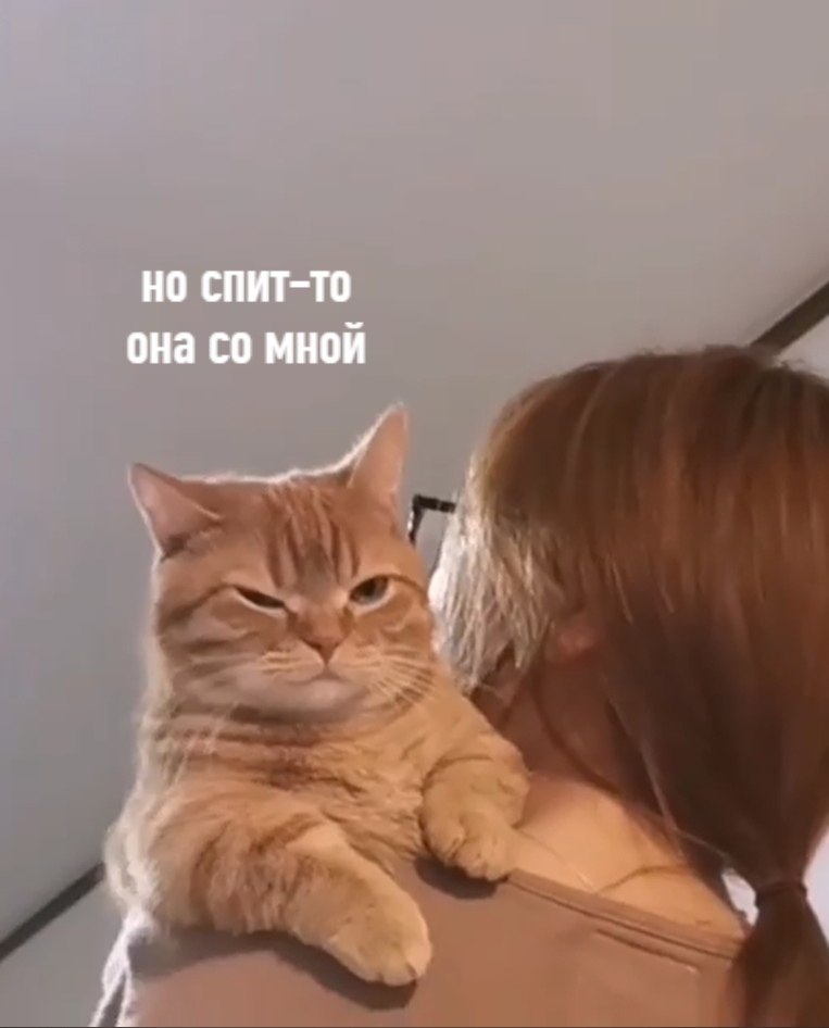  - ,     - 2