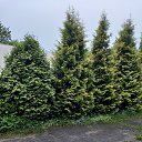 ���� ����, ������, 58 ��� - ��������� 24 ������ 2021 � ������ ���� ����������