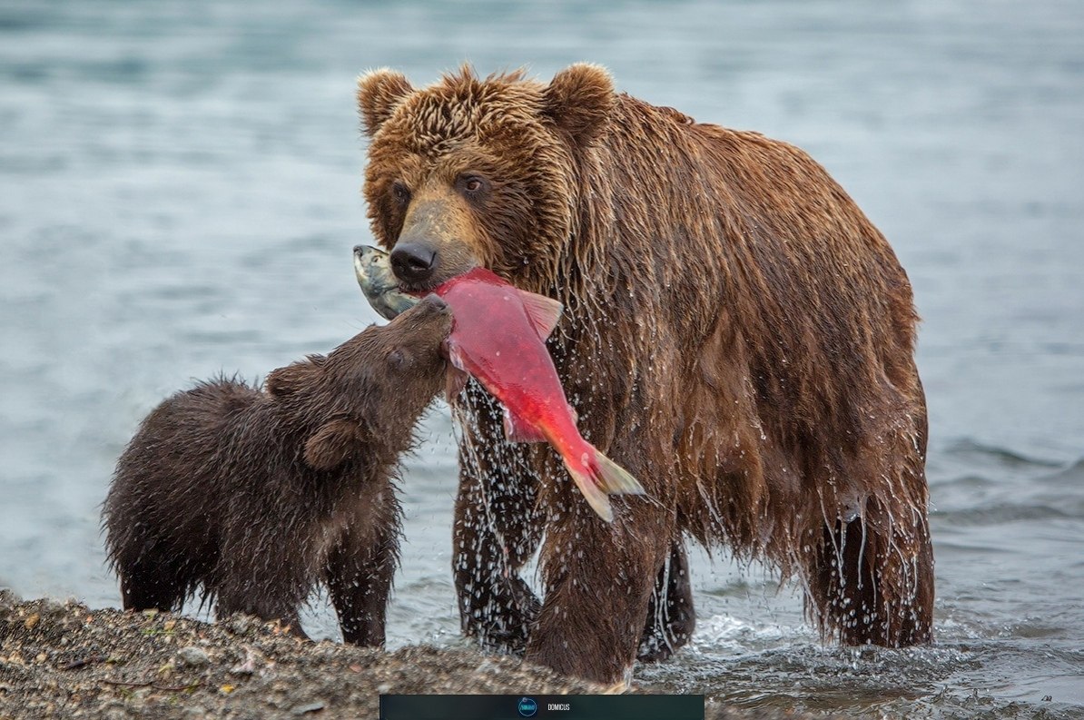 a ee o eo a epec https://fotostrana.ru/away?to=/sl/Tjn2