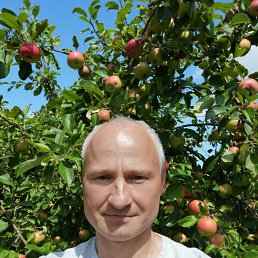 ���� ���������, ��������, 53 ���� - ��������� 28 ������� 2020