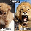  ,  -  7  2020   07.12.2020...   ..