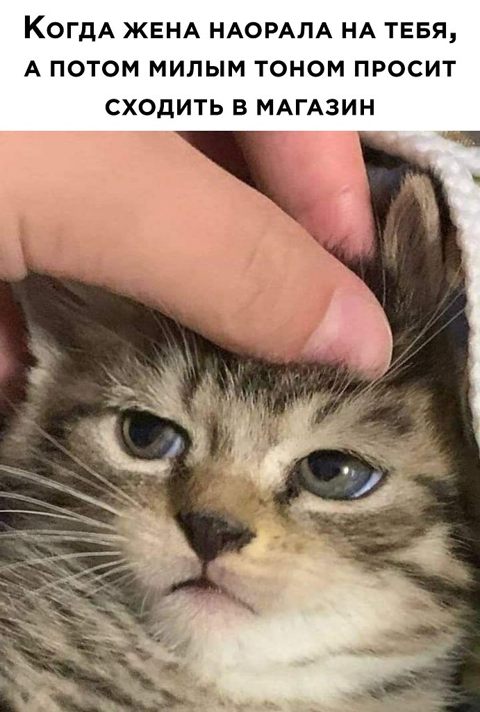    ר! - 25  2020  16:01