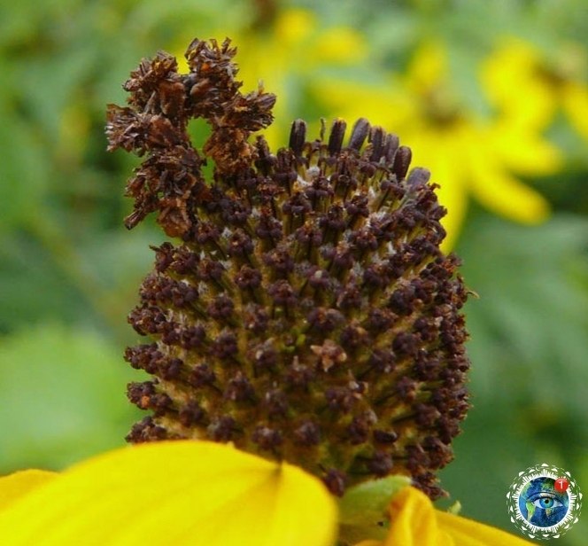 �ce���a ���e���a... eo����a�... ������� - 4