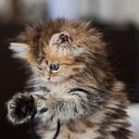 ���� ����, ������, 53 ���� - ��������� 4 ������� 2021 � ������ ���� ����������