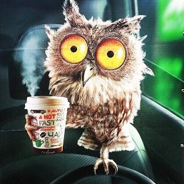 ��������, �������, 48 ���