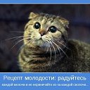 ���� ������, ����, 59 ��� - ��������� 16 ������ 2020 � ������ ���� ����������