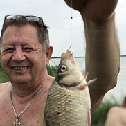 , 61 , 