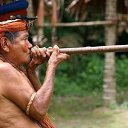 ���� ������, ������, 40 ��� - ��������� 10 �������� 2020 � ������ ���� ����������