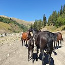 ���� ������, �����-��������� - ��������� 20 �������� 2020 � ������ ���� ����������