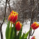 �������� �� ������ �� ������� ���� ����������