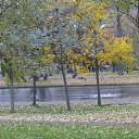 ���� Alexander, �����-���������, 70 ��� - ��������� 4 ������ 2020 � ������ ������ ��������