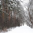 ���� �����, ������, 43 ���� - ��������� 10 ������ 2021 � ������ ���� ����������