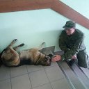 ���� ���������, �����-���������, 48 ��� - ��������� 17 �������� 2020 � ������ ���� ����������