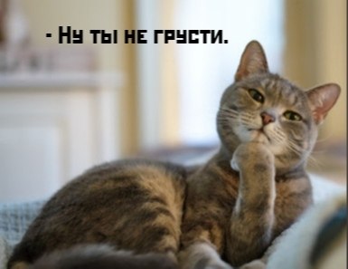       - 13  2021  19:37 - 3