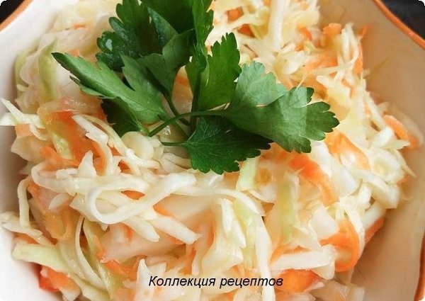 Капуста