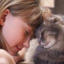 ���� ������, ������, 48 ��� - ��������� 15 ������� 2020 � ������ ���� ����������