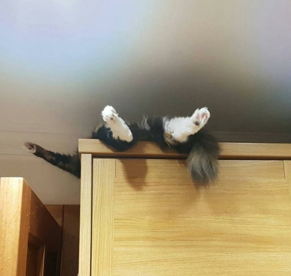    ?      240 ,      ... - 8