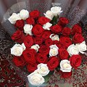 ���� �������, ������� - ��������� 23 ������� 2020 � ������ ���� ����������