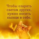 ���� �������, ������, 67 ��� - ��������� 25 ������ 2020 � ������ ������ ��������