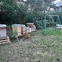 ���� Carsten, �������, 48 ��� - ��������� 14 ������� 2020 � ������ �������