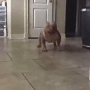 ���� �������, ������, 55 ��� - ��������� 8 �������� 2020 � ������ ���� ����������