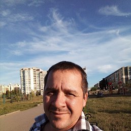 ����, �������, 43 ����