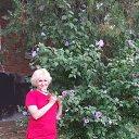 ���� �������, ��������� - ��������� 30 ������� 2020 � ������ ���� ����������