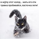 ���� �����, ����, 36 ��� - ��������� 25 ������� 2021 � ������ ������ ��������