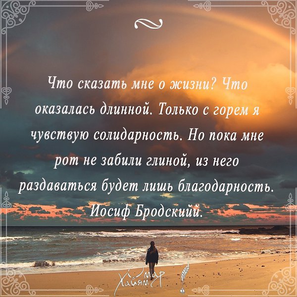 Что сказать мне о жизни? Что оказалась длинной. Только с горем я чувствую солидарность. Но пока мне ...