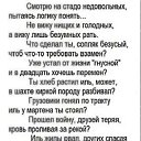 ���� ����, ���� - ��������� 8 ������� 2021 � ������ ������ ��������