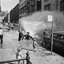 ���� ������� ����������, �������, 39 ��� - ��������� 1 ������ 2020 � ������ �Vivian Maier�
