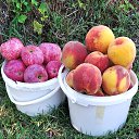  , , 46  -  9  2020     2019