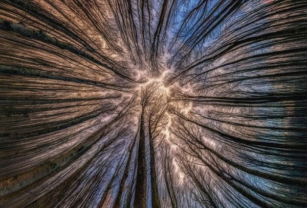    (Manuelo Bececco) - 2