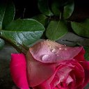 ���� �������, ������, 67 ��� - ��������� 25 ������ 2020 � ������ ������ ��������