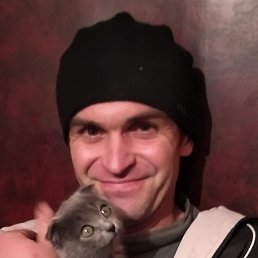 , 46, 
