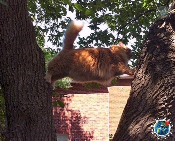 oa  o -   ec co oco po  ... # - 2