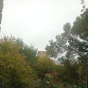 ���� �����, ������, 48 ��� - ��������� 3 ������� 2020 � ������ ������ 2020�