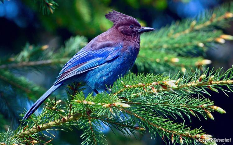 ������� - 24 ����� 2021 � 20:40 - 5