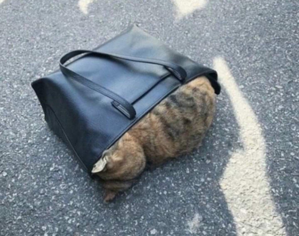    ?      240 ,      ... - 6