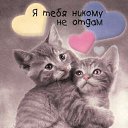���� ��������, ������, 49 ��� - ��������� 3 ������ 2020 � ������ ���� ����������