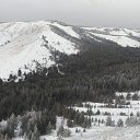  , , 49  -  5  2021    