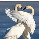 ���� ������, �������, 63 ���� - ��������� 26 ������� 2020 � ������ ���� ����������