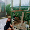 ���� ����, ��������� - ��������� 21 �������� 2020 � ������ ������ ��������