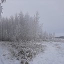 ���� ��������, ���� - ��������� 5 ������� 2020 � ������ ���� ����������