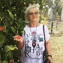 ���� �����, ��������, 59 ��� - ��������� 24 ������� 2020 � ������ ���� ����������