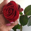 ���� �������, ������ - ��������� 21 ������ 2020 � ������ ���� ����������