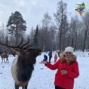 ��������� ��������� �� ��������� �� ������� ���� ����������
