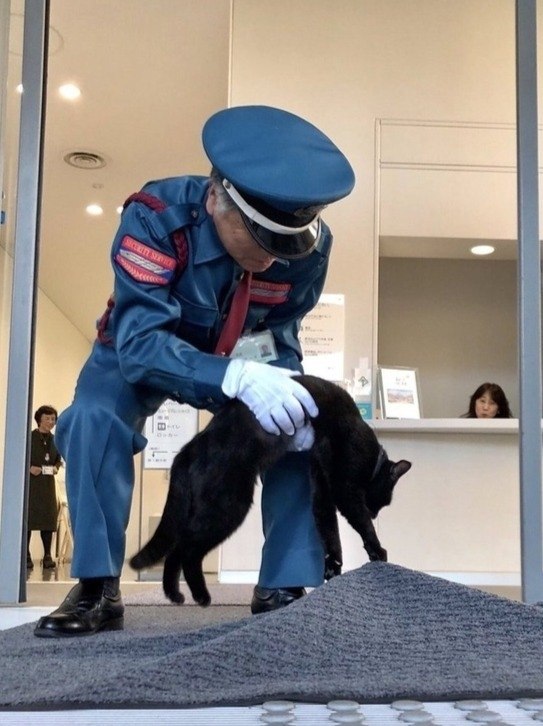 ,       ,    .  , ... - 3