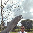 ���� ������, �������� - ��������� 12 ������� 2020 � ������ ������ ��������