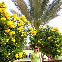  , -, 50  -  14  2020    